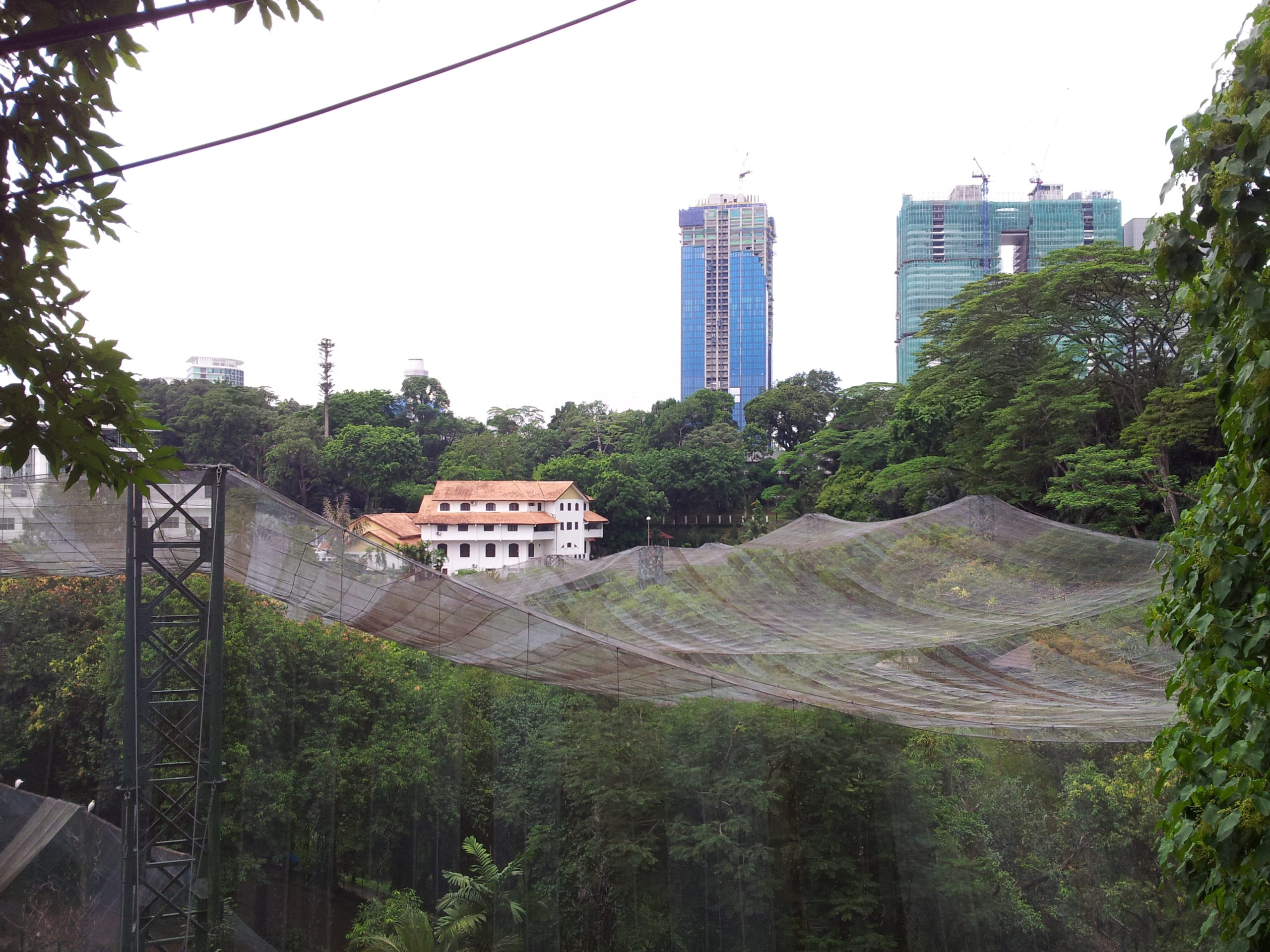KL Bird Park園内で鳥に餌やりをする様子